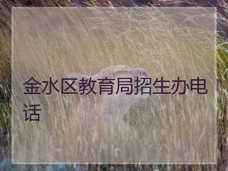 金水区教育局招生办电话