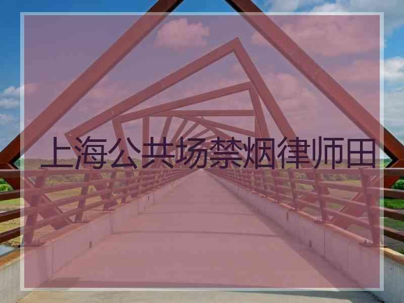 上海公共场禁烟律师田