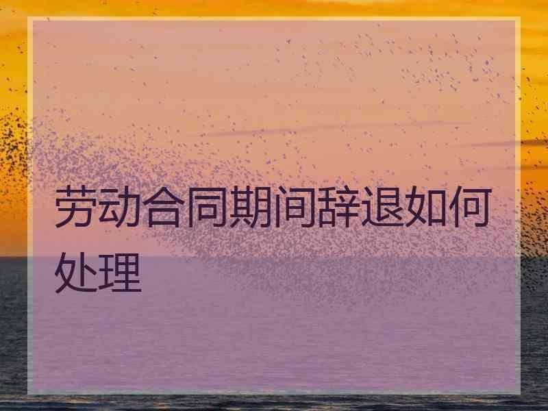 劳动合同期间辞退如何处理