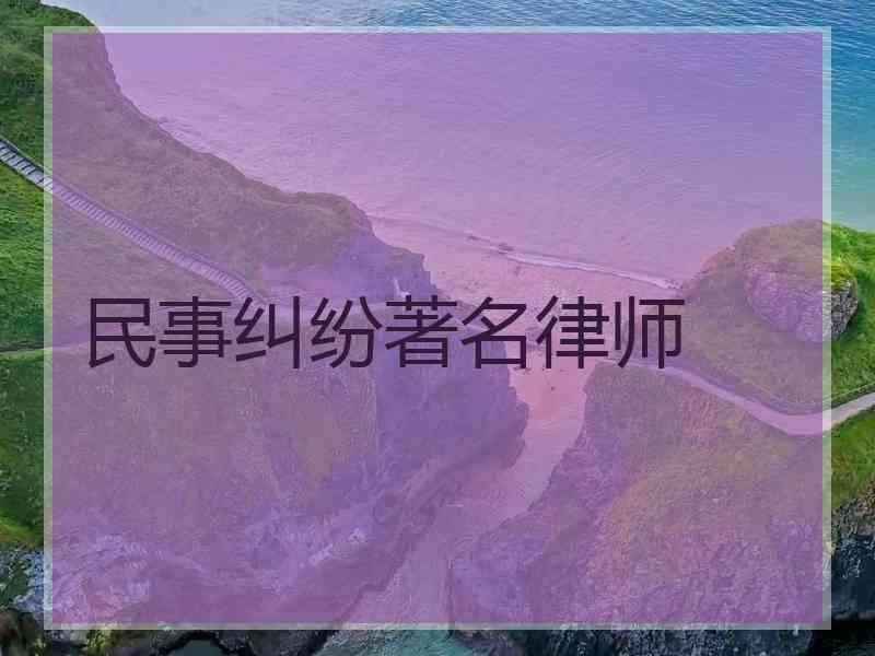 民事纠纷著名律师