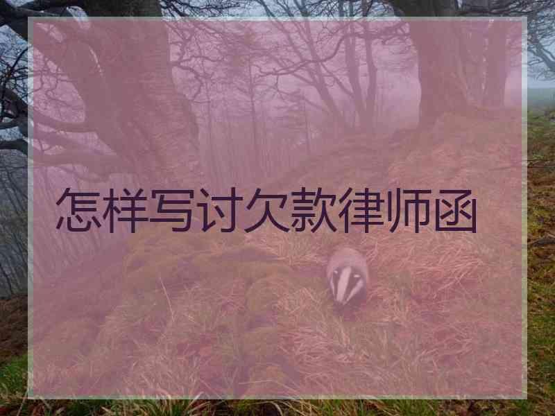 怎样写讨欠款律师函