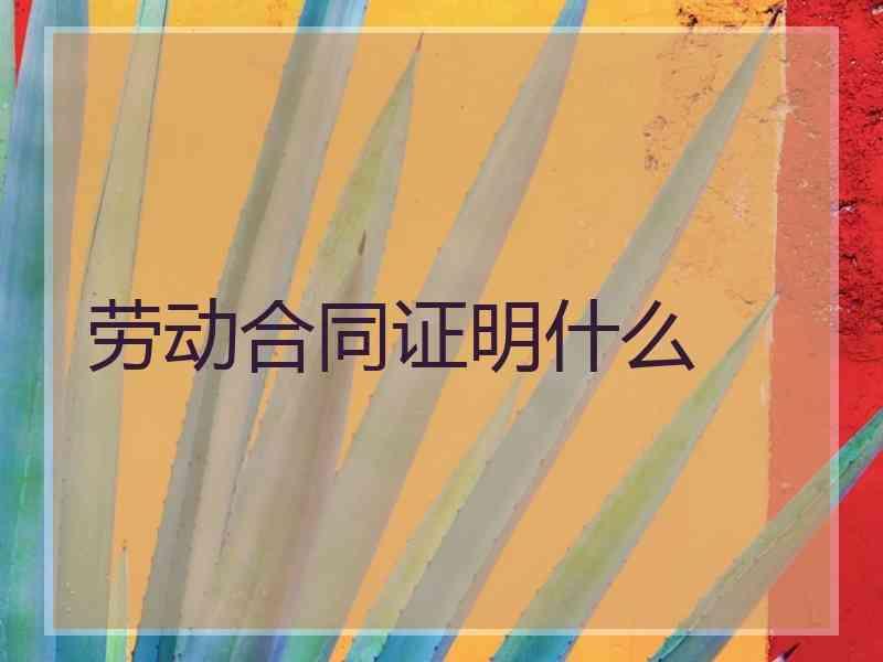 劳动合同证明什么