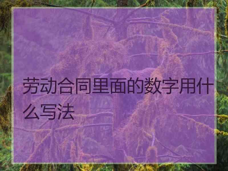 劳动合同里面的数字用什么写法