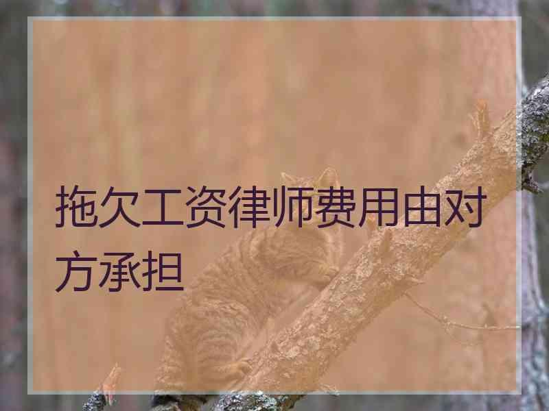 拖欠工资律师费用由对方承担