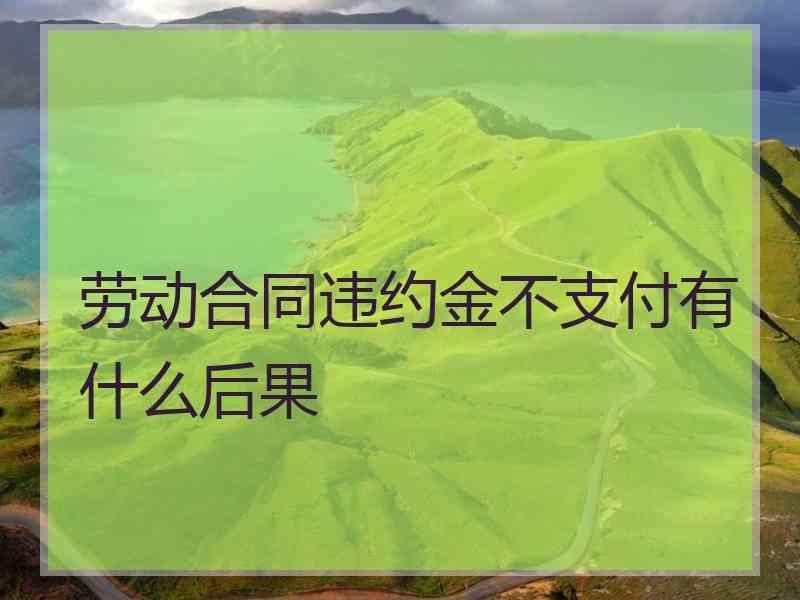 劳动合同违约金不支付有什么后果