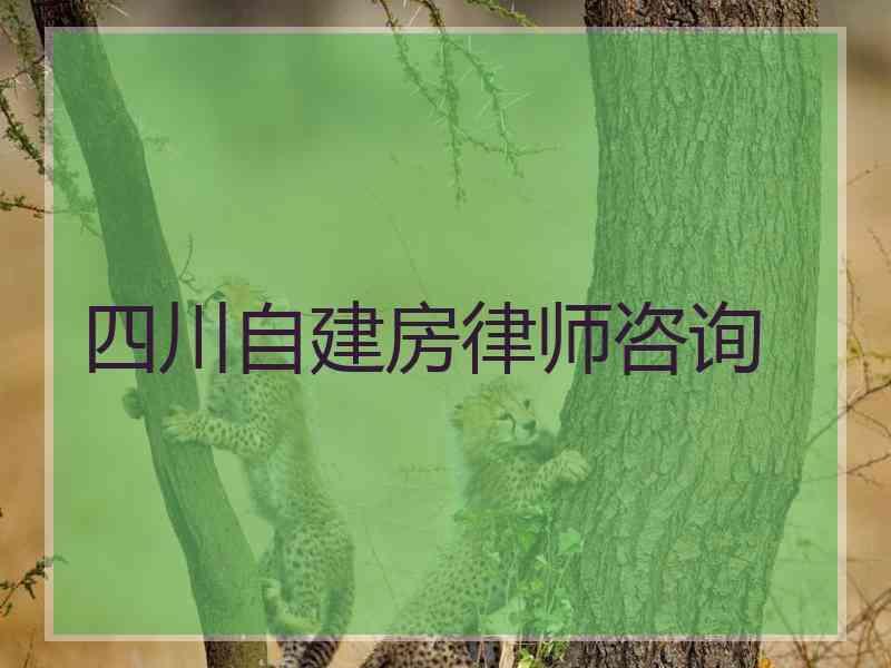 四川自建房律师咨询