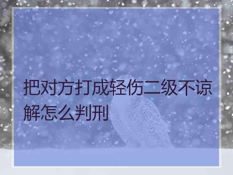 把对方打成轻伤二级不谅解怎么判刑