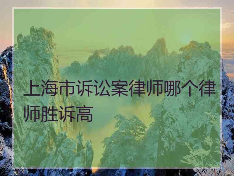 上海市诉讼案律师哪个律师胜诉高