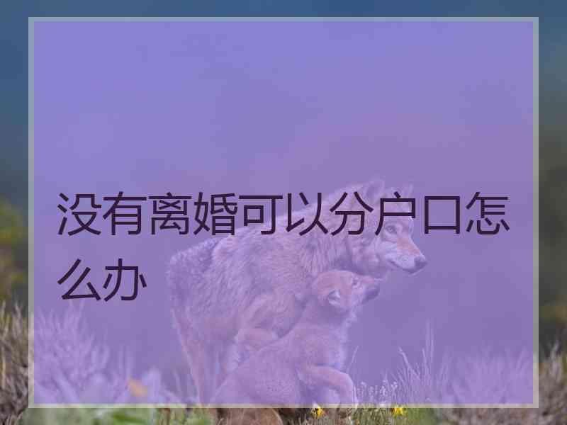 没有离婚可以分户口怎么办