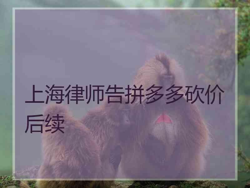 上海律师告拼多多砍价后续