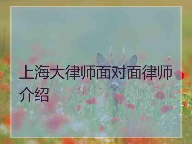 上海大律师面对面律师介绍