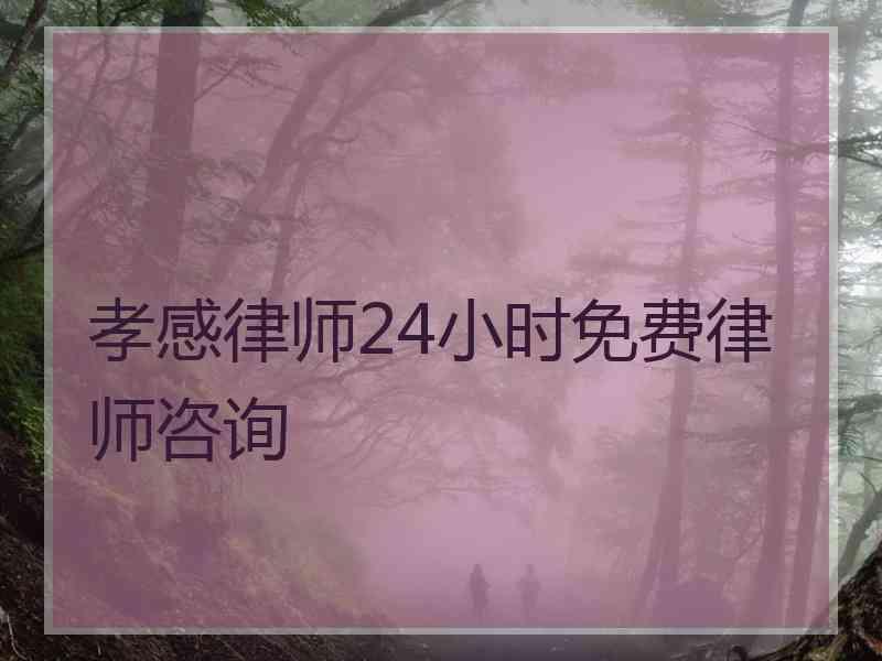 孝感律师24小时免费律师咨询