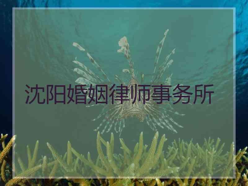 沈阳婚姻律师事务所