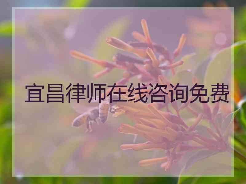 宜昌律师在线咨询免费