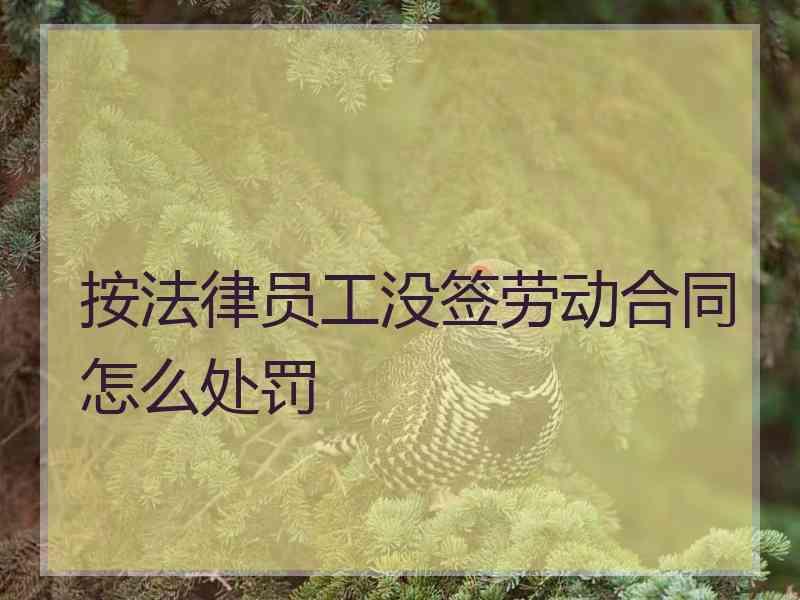 按法律员工没签劳动合同怎么处罚