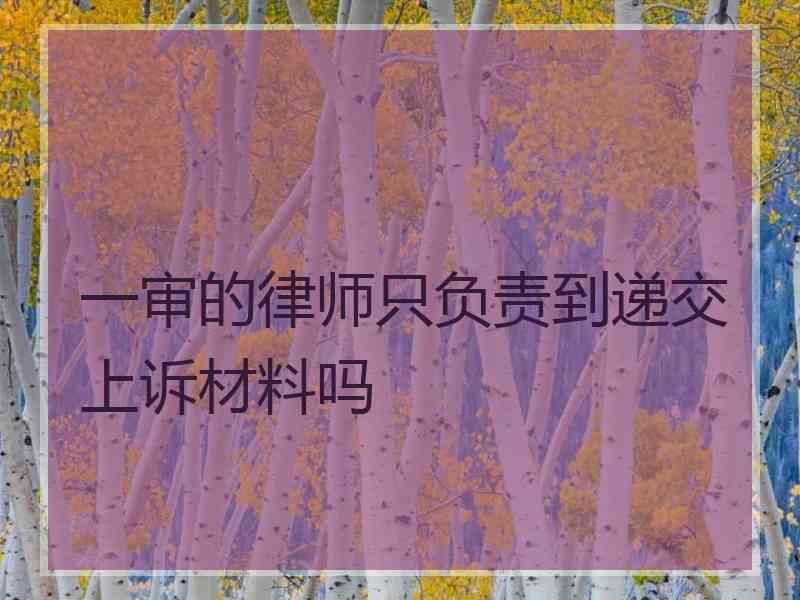 一审的律师只负责到递交上诉材料吗