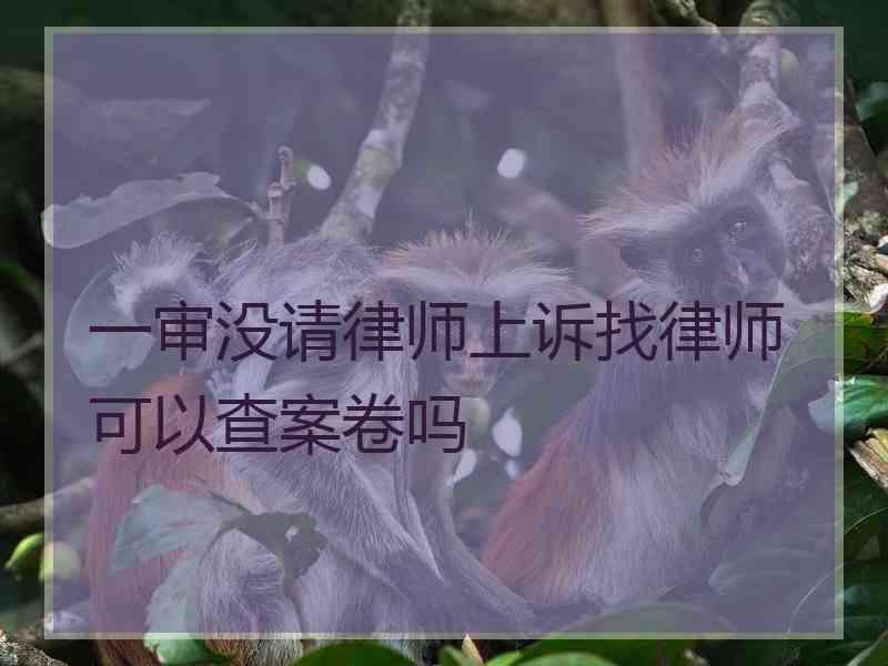 一审没请律师上诉找律师可以查案卷吗