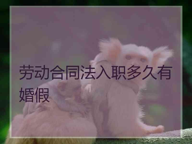 劳动合同法入职多久有婚假