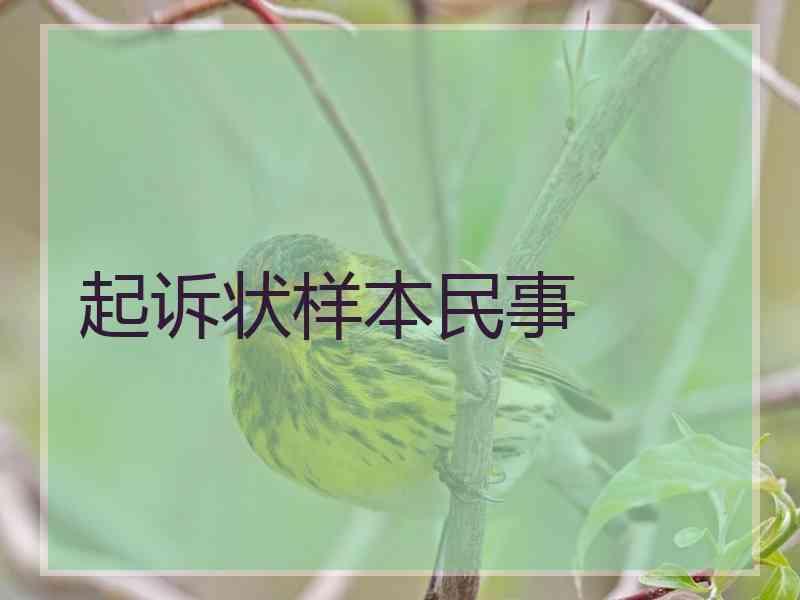 起诉状样本民事