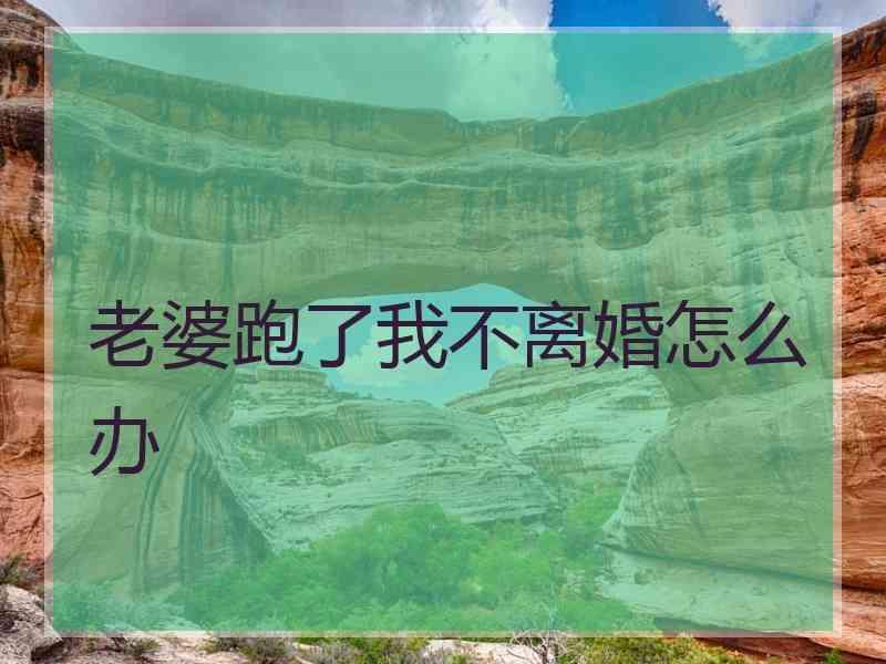 老婆跑了我不离婚怎么办