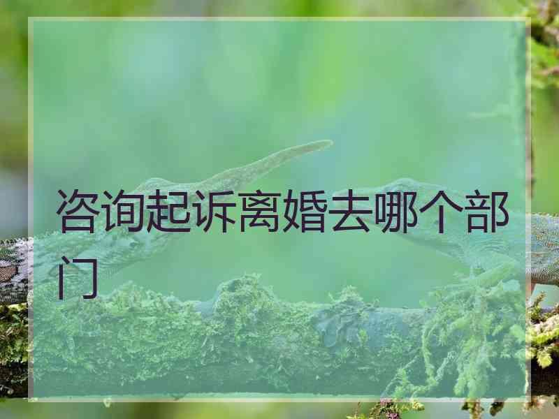 咨询起诉离婚去哪个部门