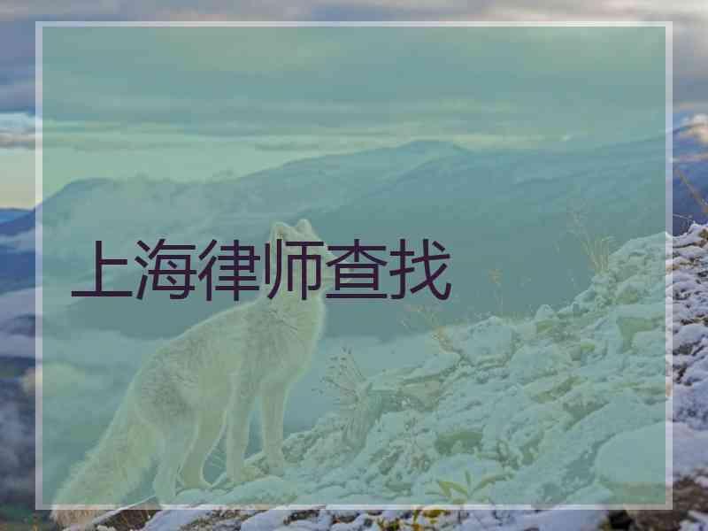 上海律师查找