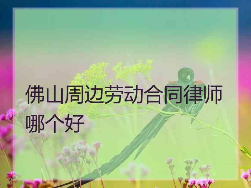 佛山周边劳动合同律师哪个好