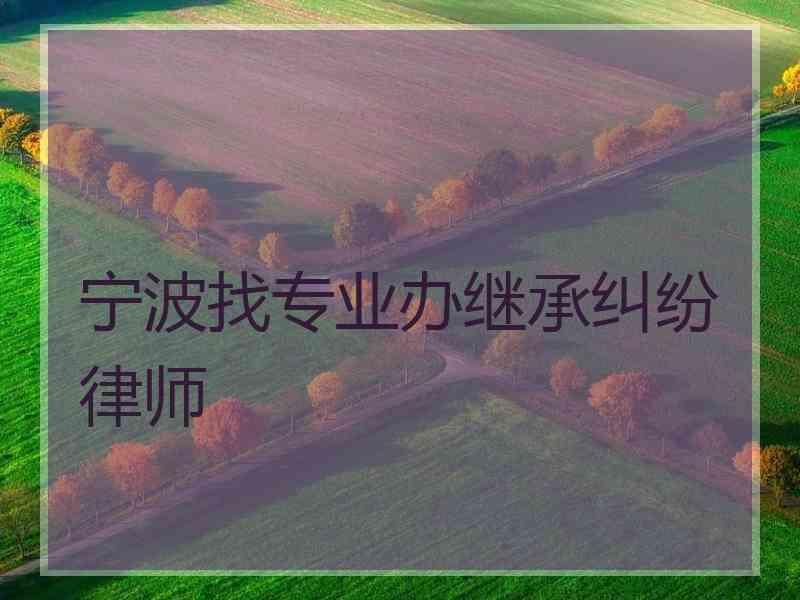 宁波找专业办继承纠纷律师