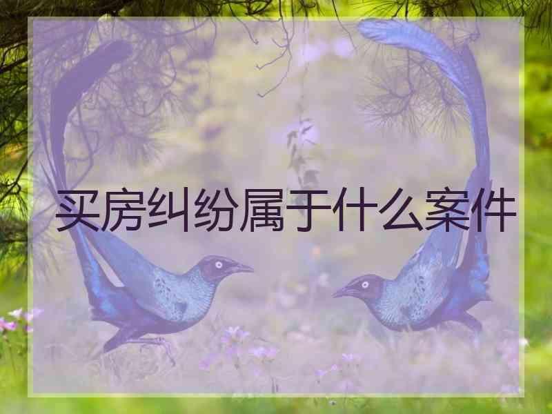 买房纠纷属于什么案件