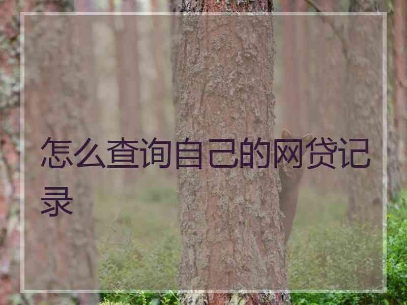 怎么查询自己的网贷记录