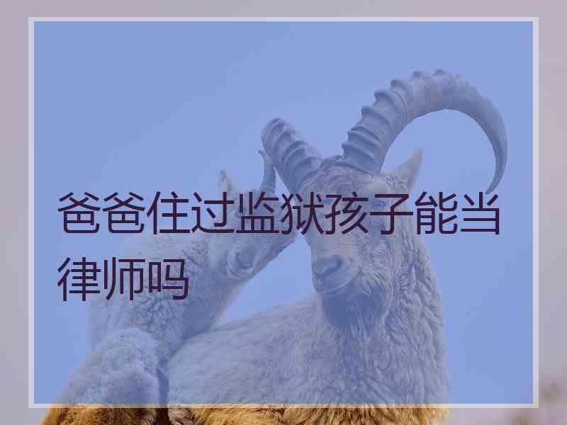 爸爸住过监狱孩子能当律师吗