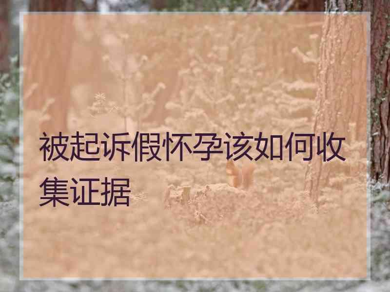 被起诉假怀孕该如何收集证据