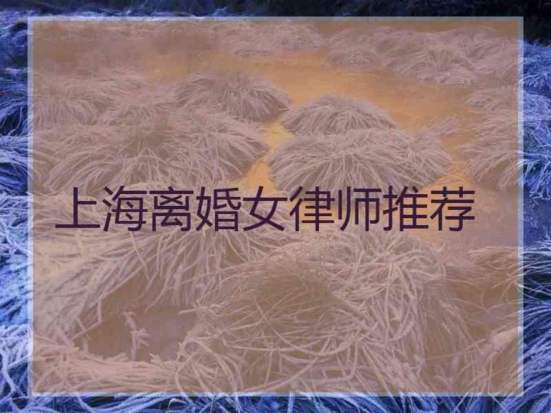 上海离婚女律师推荐