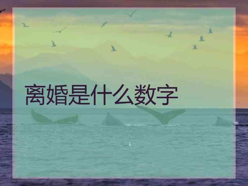 离婚是什么数字