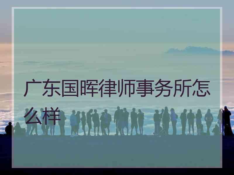 广东国晖律师事务所怎么样