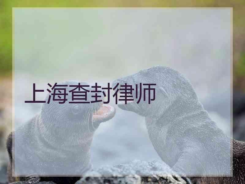 上海查封律师