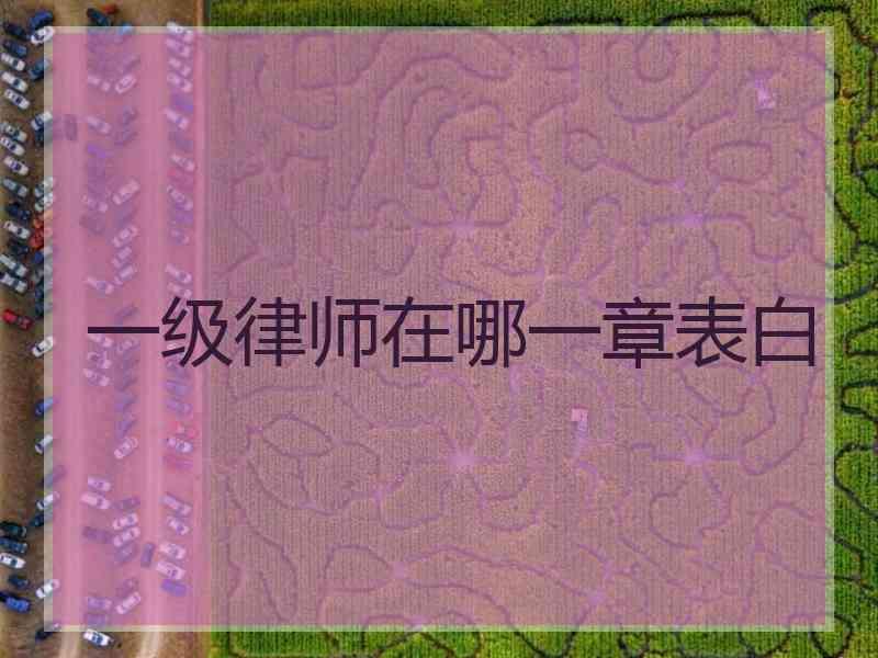 一级律师在哪一章表白