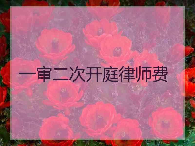 一审二次开庭律师费