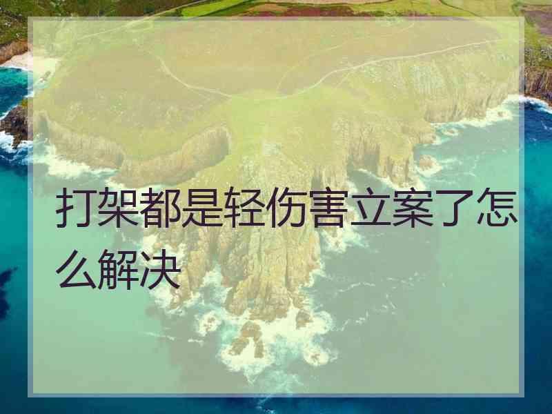 打架都是轻伤害立案了怎么解决