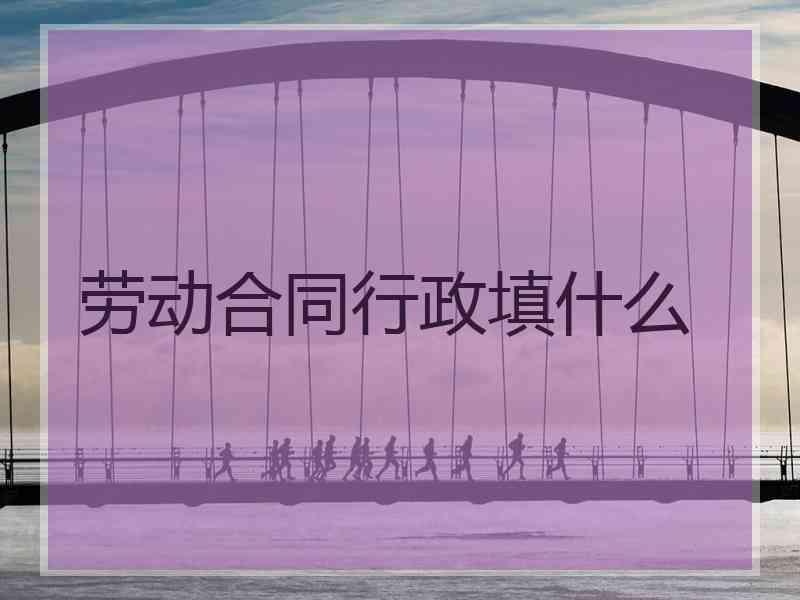 劳动合同行政填什么