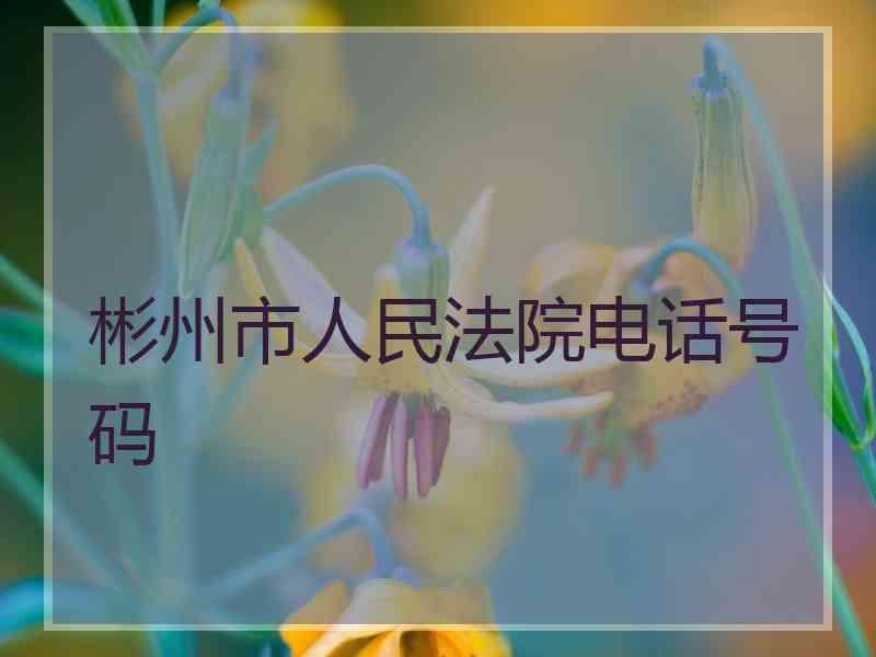 彬州市人民法院电话号码