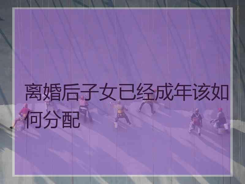离婚后子女已经成年该如何分配