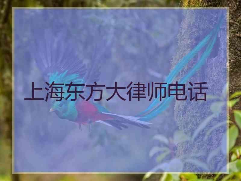 上海东方大律师电话