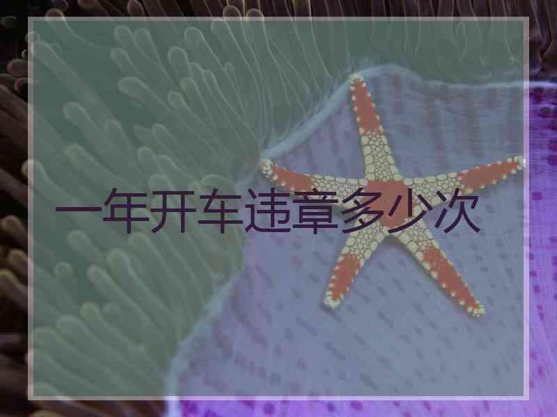 一年开车违章多少次