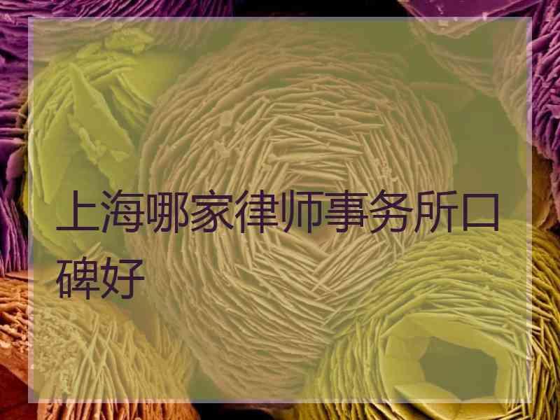 上海哪家律师事务所口碑好