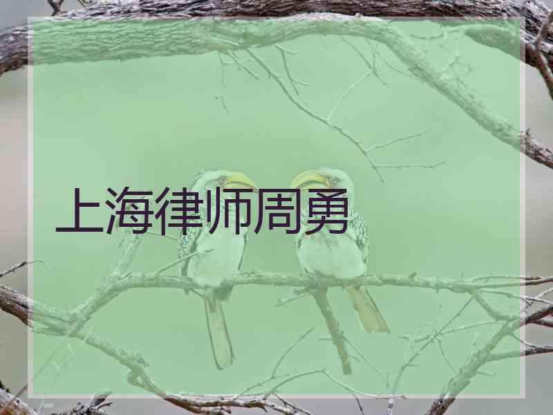 上海律师周勇