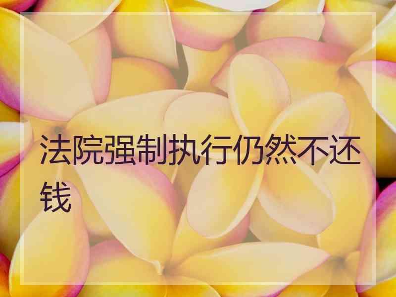 法院强制执行仍然不还钱