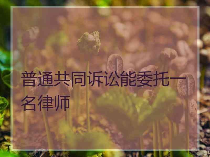 普通共同诉讼能委托一名律师