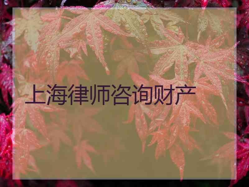 上海律师咨询财产