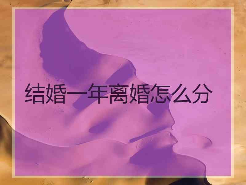 结婚一年离婚怎么分